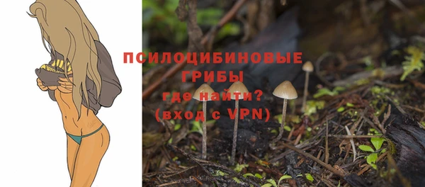 MDMA Premium VHQ Инсар