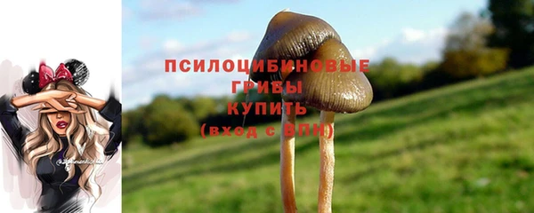 MDMA Premium VHQ Инсар